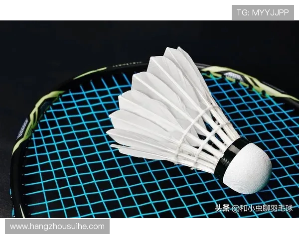 从零基础到羽毛球高手的全面提升指南与实战技巧分享