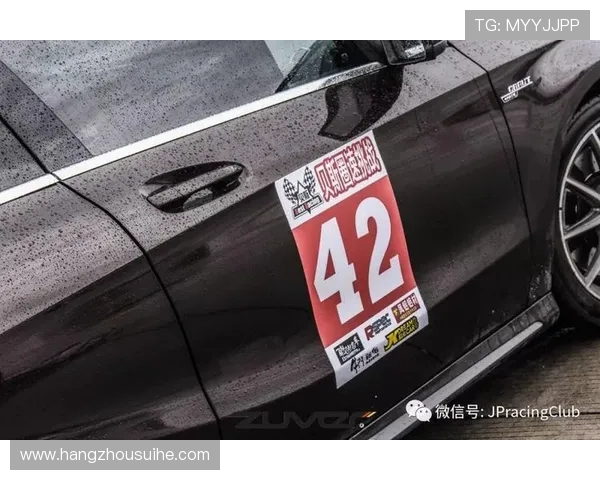 全球挑战赛回顾WE战队实力解析与未来展望