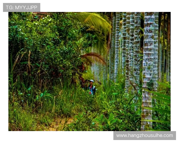 琼斯的传奇人生与不为人知的秘密探索之旅
