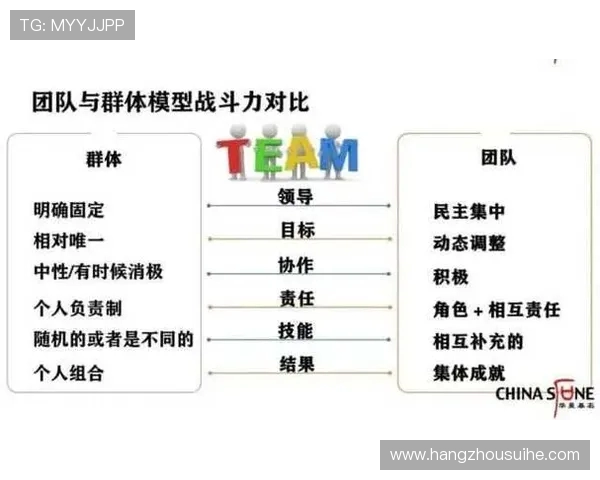 数据分析：深入探讨WE团队成员个人能力表现及其对整体绩效的影响