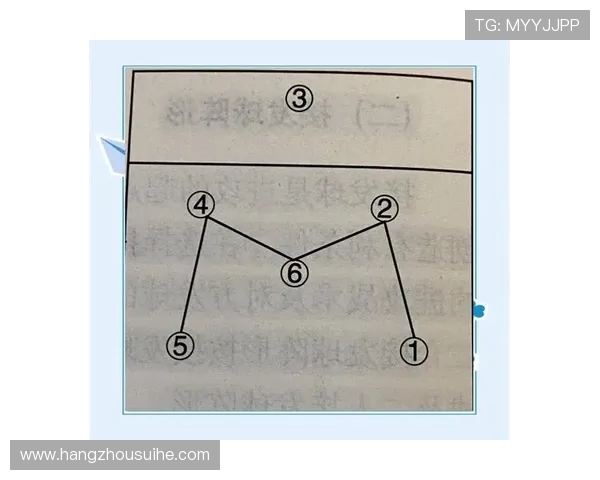 上海排球队引领排球技术革命十大创新技巧解析